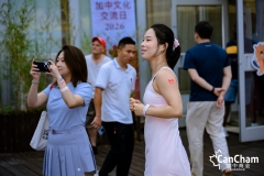 DPP_0243